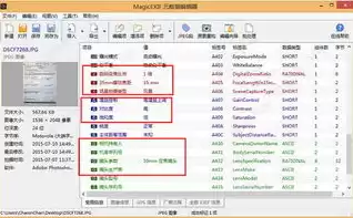 magicexif元数据编辑器专业版破解，magicexif元数据编辑器