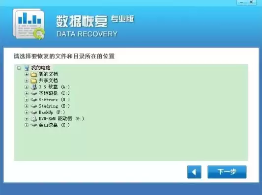 数据恢复免费工具，数据恢复专家免费版官网