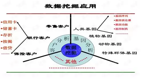 数据挖掘的实际应用主要应用在什么方面，数据挖掘的实际应用主要应用在