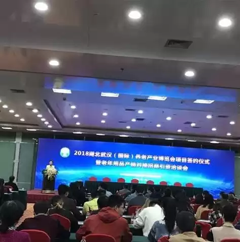 互联网+养老创业计划书，养老行业互联网创业项目