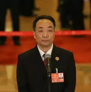 司法数据中心可以查什么，司法大数据中心