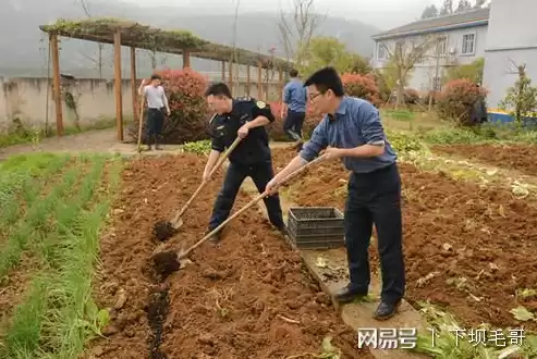 农村社区有哪些基本特点，农村社区的特点主要有生活方式具有多样性对吗