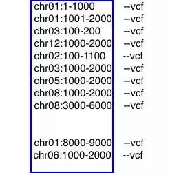 并行处理单元是干什么的啊，并行处理单元是干什么的