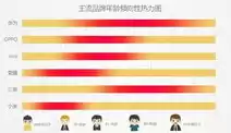 top5行业，top行业报告