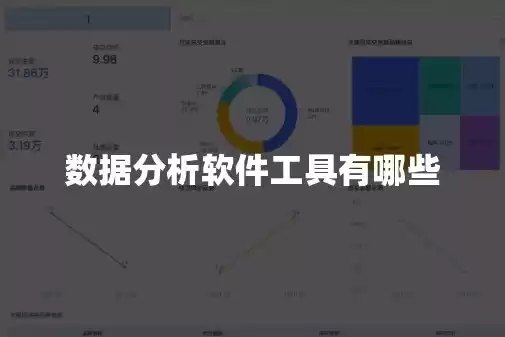 数据挖掘的分析软件是哪个，数据挖掘的分析软件是