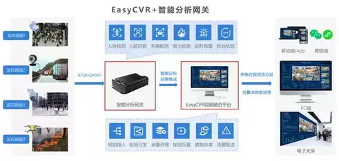 计算机视觉领域大模型龙头上市公司，计算机视觉领域的大模型