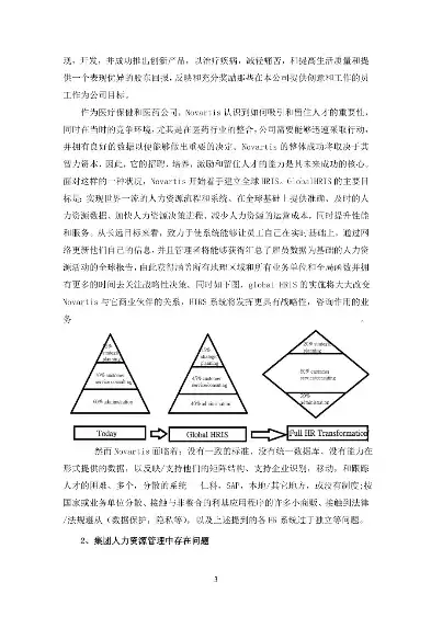 人力资源数据整理，人力资源数据治理服务建设方案范文最新