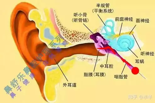 咽鼓管压力测试怎么做，咽鼓管压力测试