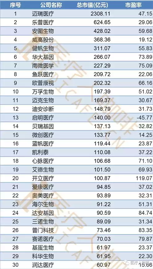 医疗数据公司排名前十，医疗数据公司排名