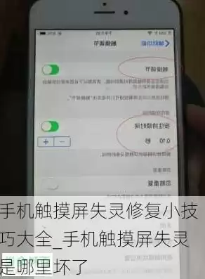 手机坏了数据怎么导出来，手机坏了数据怎么恢复到新手机上