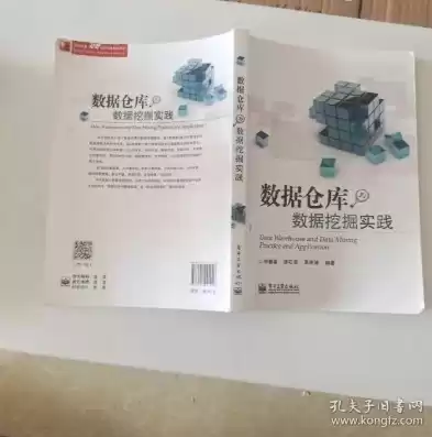 数据仓库与数据挖掘实践，数据仓库与数据挖掘实操指南