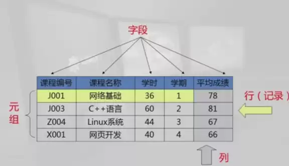 关系数据库中最基本的数据单位是哪个，关系数据库中最基本的数据单位是