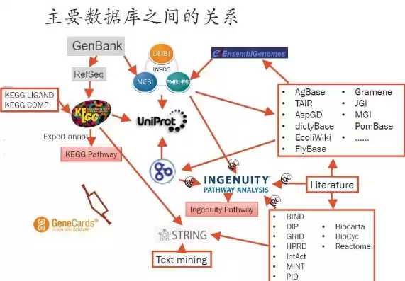 数据库的数据之间是否存在联系，数据库的数据项之间存在联系