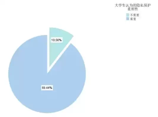 大数据时代隐私怎么办(大学生信息安全意识调研)论文，大数据时代隐私怎么办(大学生信息安全意识调研)