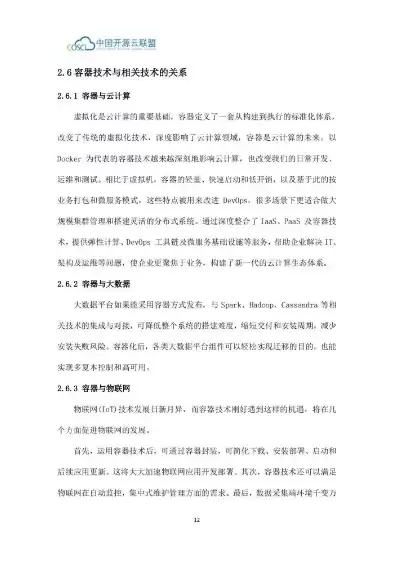 容器技术与应用，容器技术的应用实例分析怎么写