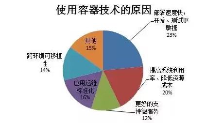 容器技术与应用，容器技术的应用实例分析怎么写