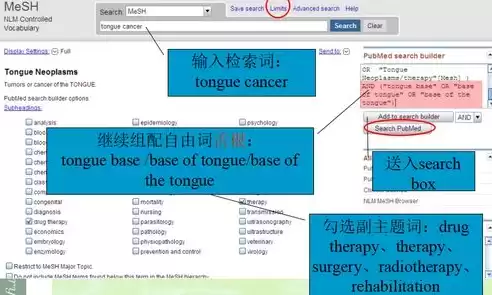 数据库的最核心也是最常用的操作是什么，数据库的最核心也是最常用的操作是