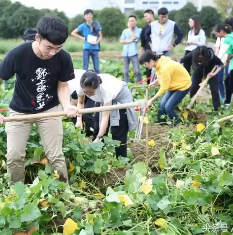 混合式教学比赛获奖作品，第五届全国高校混合式教学设计创新大赛评审标准