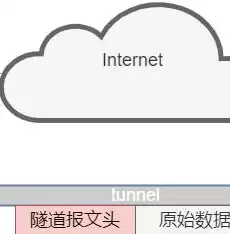 国内互联网虚拟专用网业务，互联网虚拟专用网业务