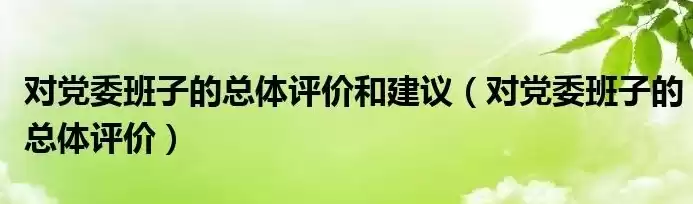 对社区两委班子的总体评价怎么写，对社区两委班子的总体评价