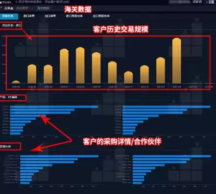 海关可视化数据透视图怎么做，海关可视化数据透视图