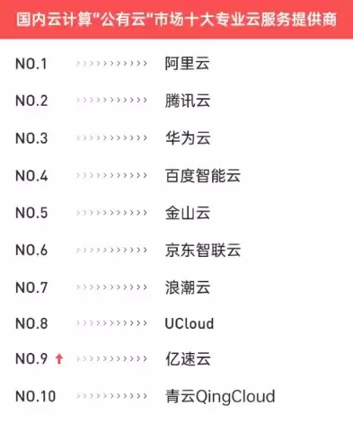 中国十大云平台排行榜前十名，中国十大云平台排行榜