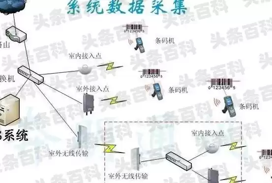 数据的采集方式不包括，数据的采集方式