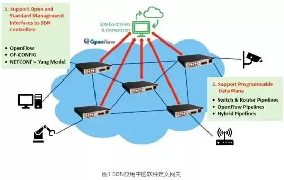 软件定义网络应用是什么形式的，软件定义网络应用是什么形式