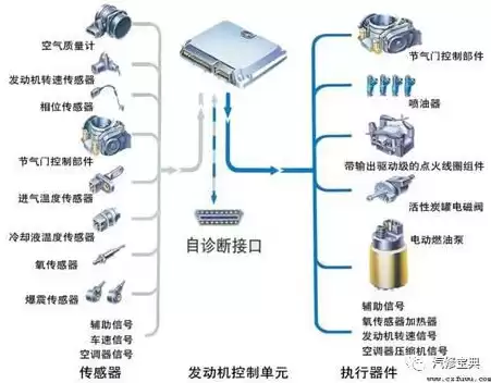 系统安全包括哪些，系统安全包括什么