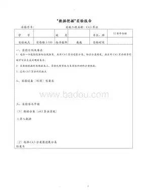 数据挖掘的应用与实践实验报告，数据挖掘的应用与实践