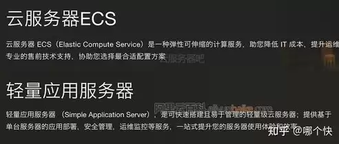 云服务器ecs是什么，云服务器