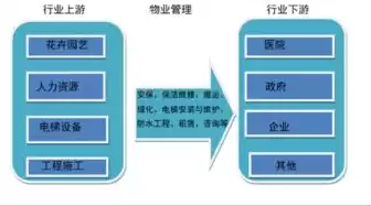 多元化管理策略，多元管理平台发展方向分析怎么写比较好