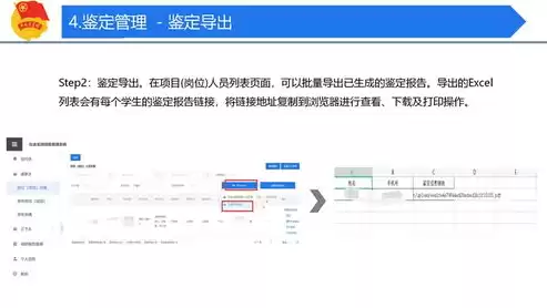 白云 实践，白云实践教学管理系统登录入口