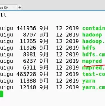 hadoop分布式集群搭建完整教程，hadoop分布式集群搭建教程详细