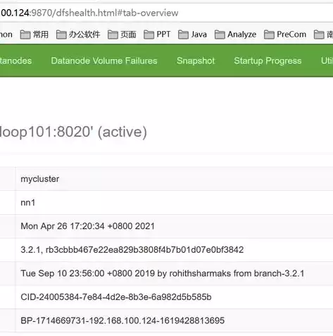 hadoop分布式集群搭建完整教程，hadoop分布式集群搭建教程详细