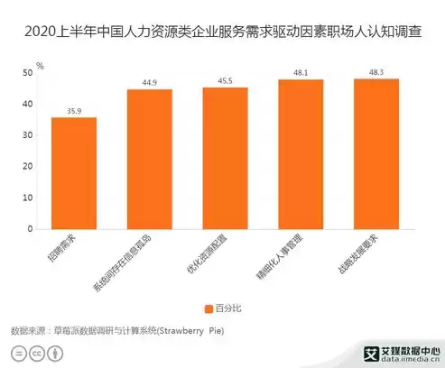 人力资源数据分析排版