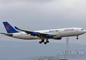 航空运输吞吐量是什么意思啊，航空运输吞吐量是什么意思