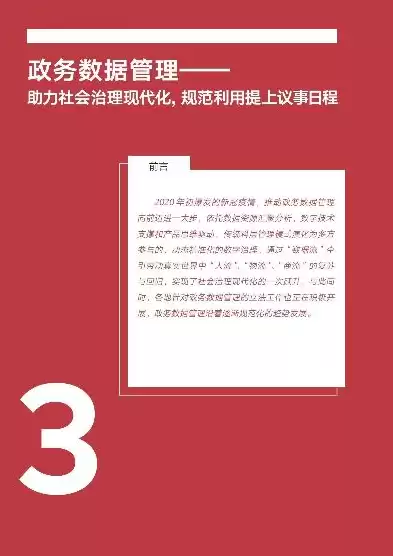 数据治理情况报告，数据治理报告范文