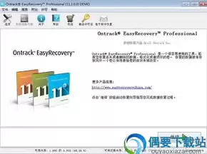 数据恢复软件破解免费版，数据恢复软件easyrecovery破解版