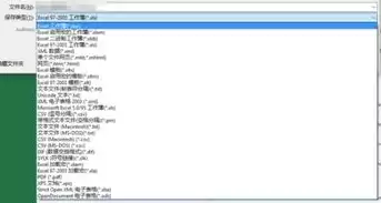 excel文件保存类型是什么意思，excel文件保存类型是什么