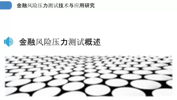 压力测试是一种以( )分析为主的风险分析方法，压力测试是一种风险管理技术