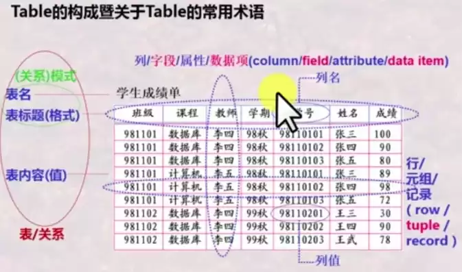 数据的术语是什么意思，数据的术语是什么