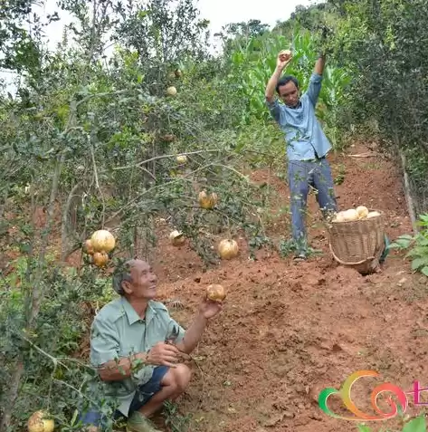 万兴数据恢复 破解，万兴数据恢复专家破解版下载附激活码