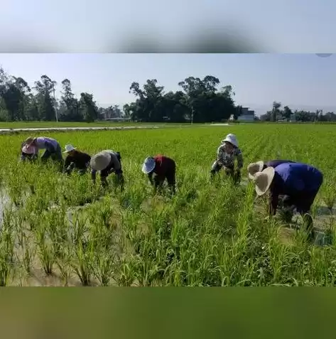 移动存储管理软件，移动存储管控系统