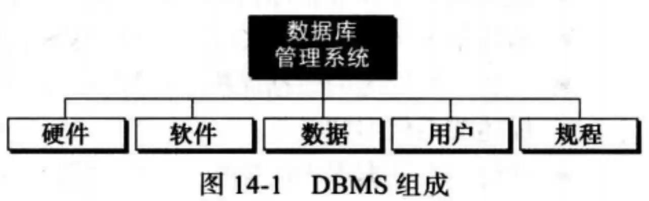 数据库的概念模型独立于具体的机器和db ms，数据库的概念模型独立于具体的机器和DBMS