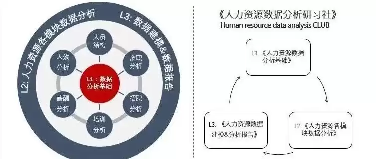 人力资源数据治理的原则，人力资源数据治理的目标