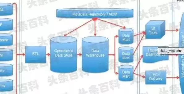 数据库建立数据库，数据库建立的基本步骤