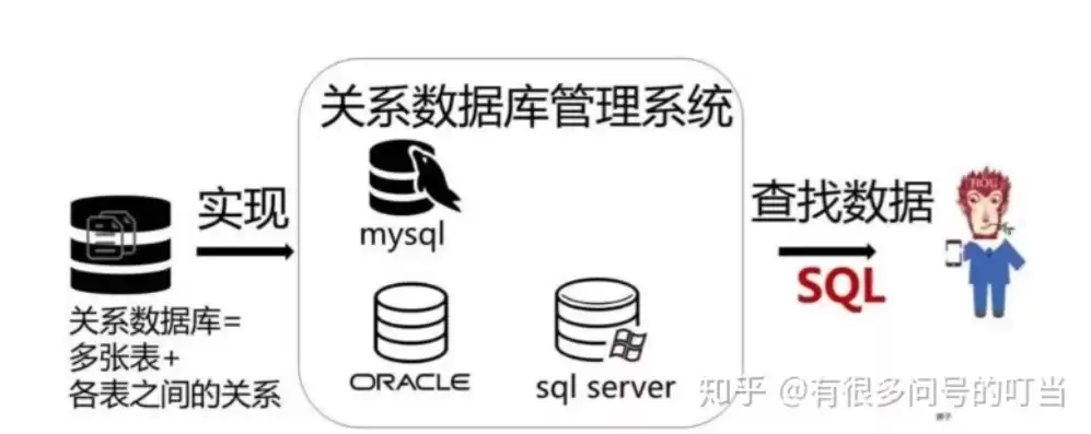 数据库建立数据库，数据库建立的基本步骤