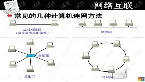 计算机网络技术和软件技术哪个好学，计算机网络技术和软件技术哪个好