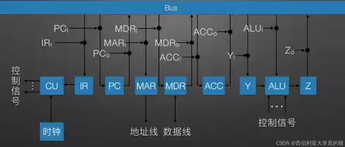 计算机内部采用的数据是什么，计算机内部的数据都是以________数的形式存储